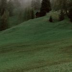 Mountains at This Time of The Year in California 7 vlogger img 05