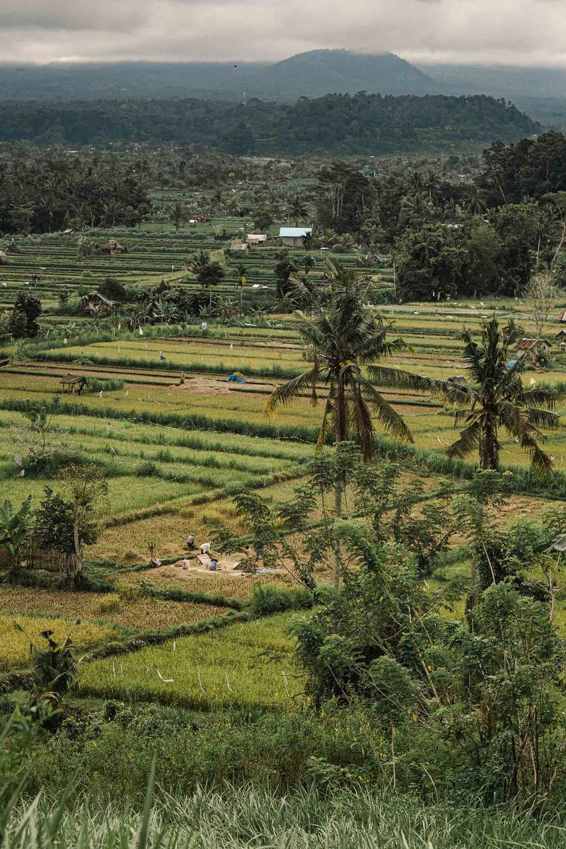 Du-lich-bali-de-lang-nghe-co-the-va-cam-nhan-su-chua-lanh-cua-thien-nhien-12