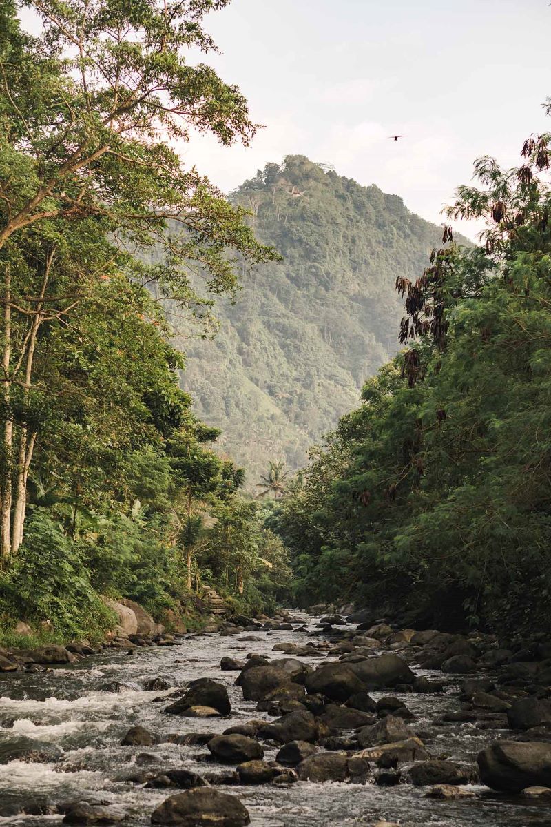 Du-lich-bali-de-lang-nghe-co-the-va-cam-nhan-su-chua-lanh-cua-thien-nhien-13