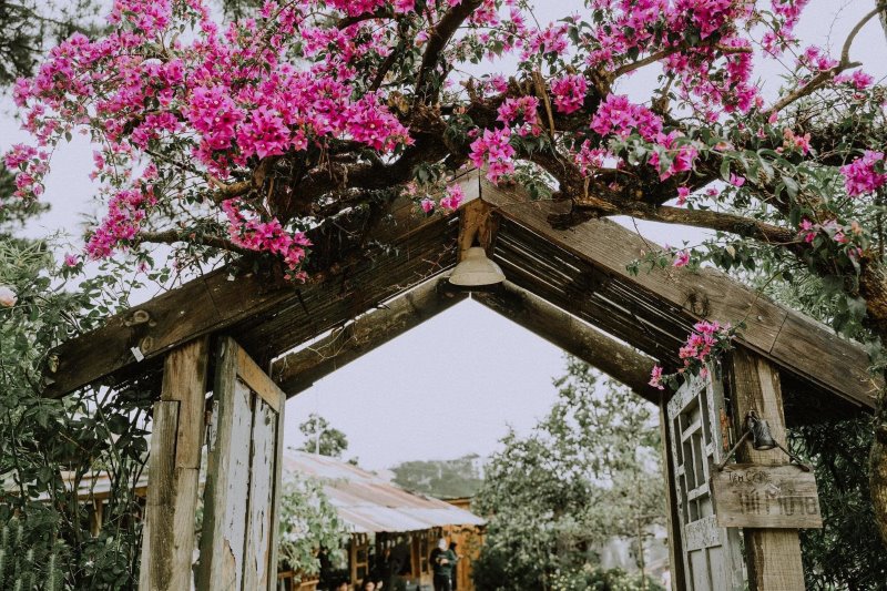 Nhung-quan-cafe-dep-o-da-lat-khong-the-bo-qua-1