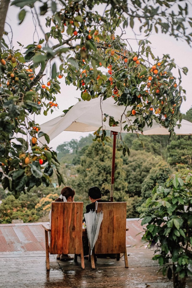 Nhung-quan-cafe-dep-o-da-lat-khong-the-bo-qua-3